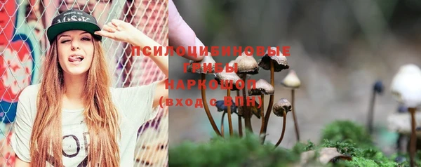 СК Богданович