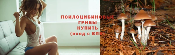 прущие грибы Белоозёрский