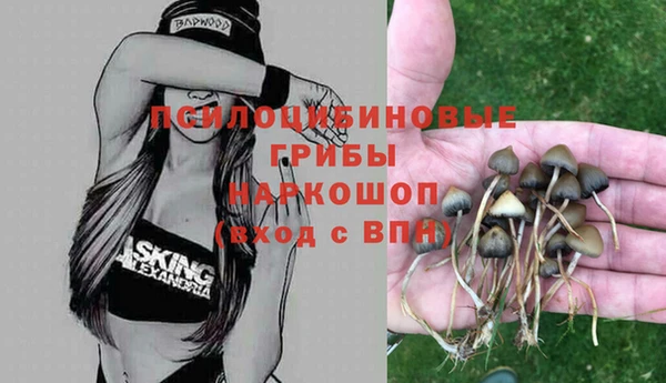 прущие грибы Белоозёрский