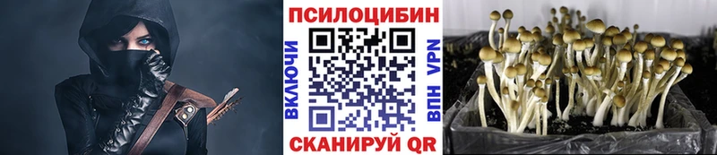 mega вход  Клин  Галлюциногенные грибы Psilocybine cubensis 